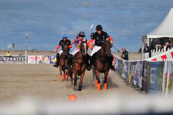 pferdepolo am strand von rostock warnemünde